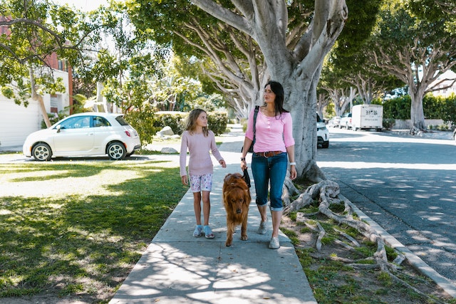 tenants%20walking%20dog tenants%20walking%20dog